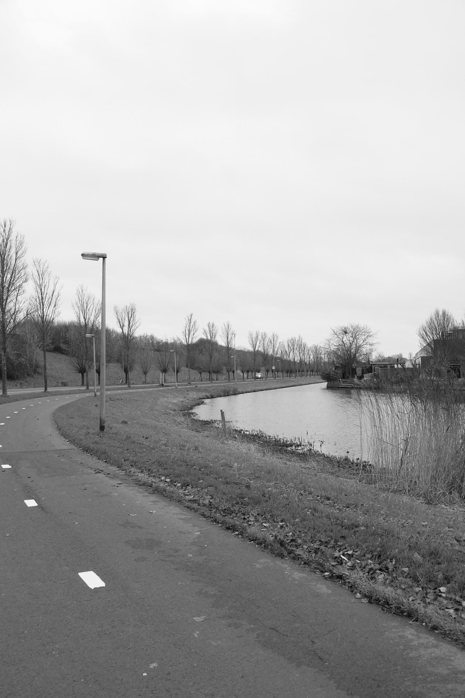 Leeg fietspad met witte belijning dat in een bocht langs een smalle vaart loopt, met lantaarnpalen, een talud en kale bomen op de achtergrond