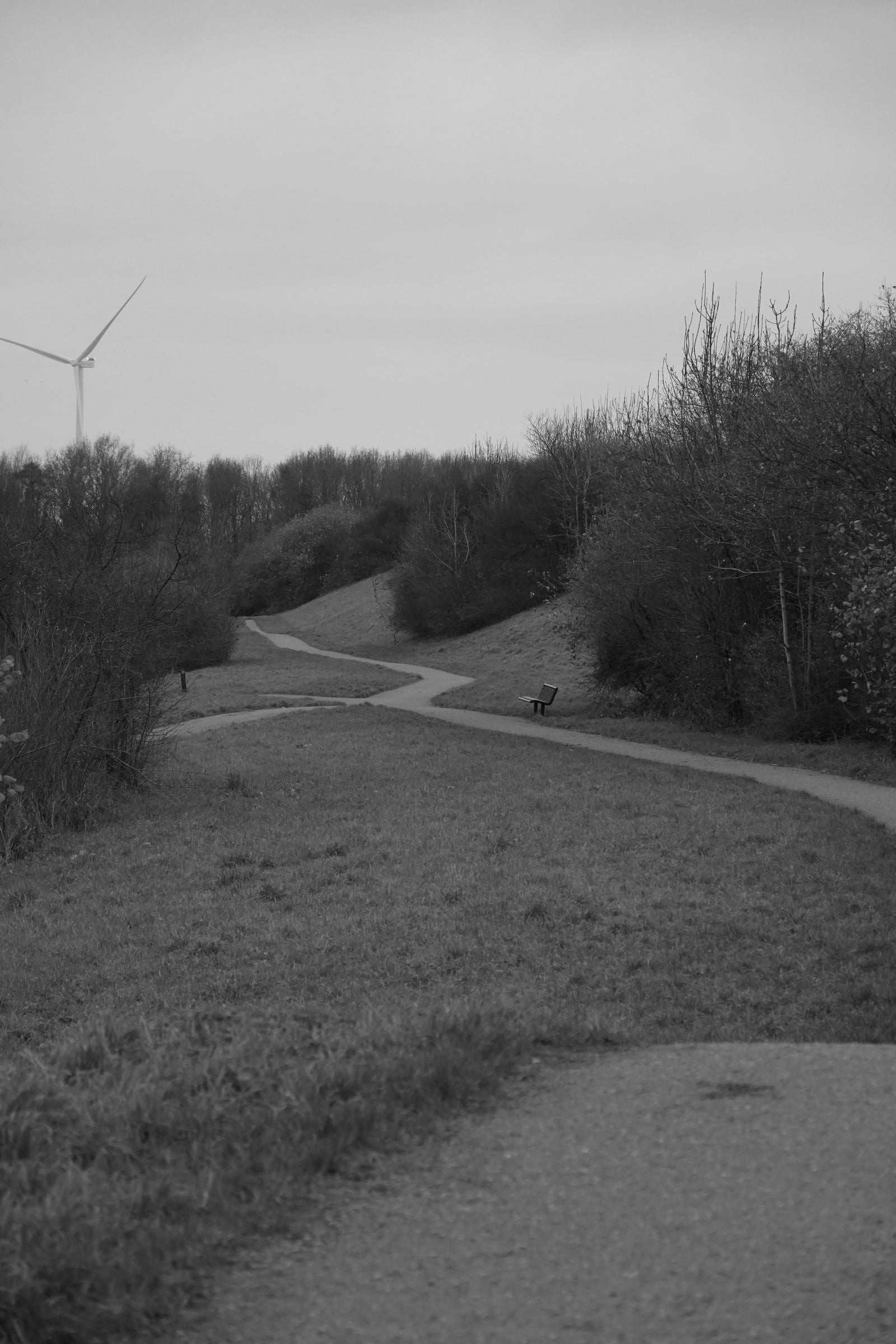 Slingerend voetpad door een glooiend grasveld met een leeg bankje langs de rand, struikgewas aan weerszijden en links in de verte een windturbine