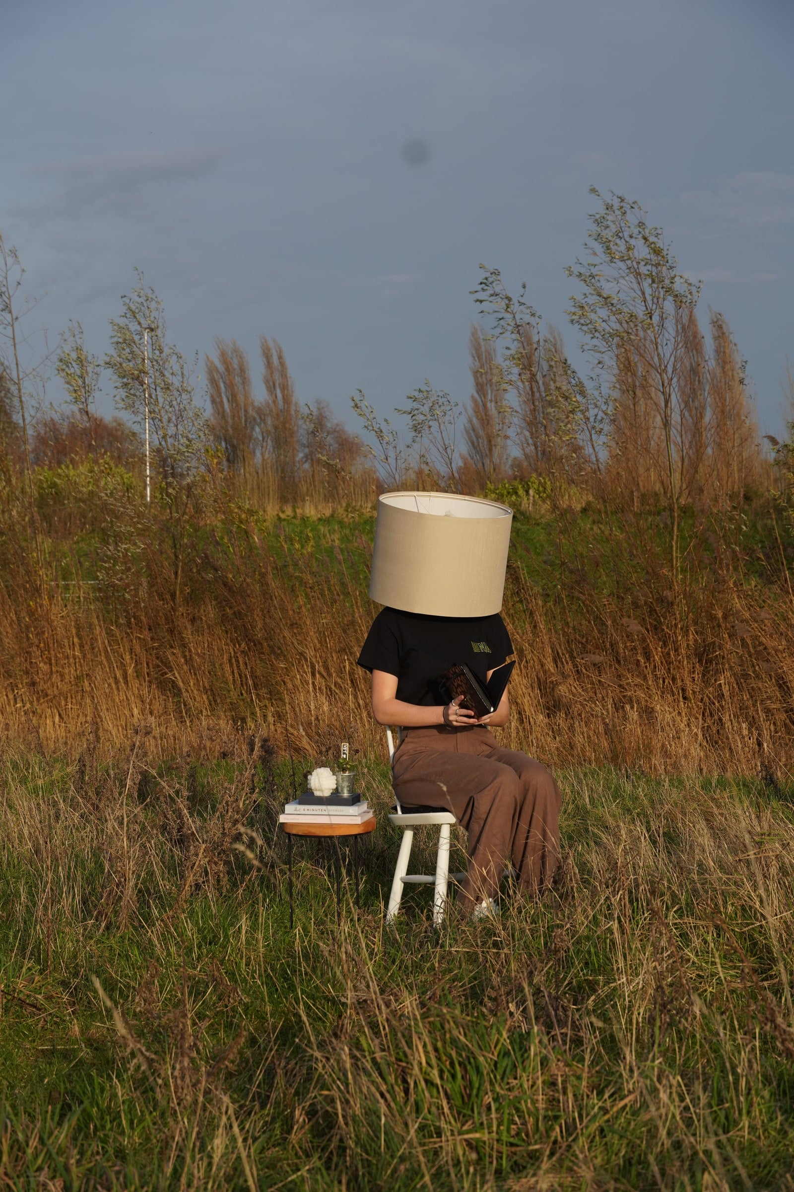 Iemand zit met een beige lampenkap over het hoofd op een wit krukje in hoog verdord gras, met naast zich een laag tafeltje met een stapel boeken en een kaars, onder een grijsblauwe lucht (cover)